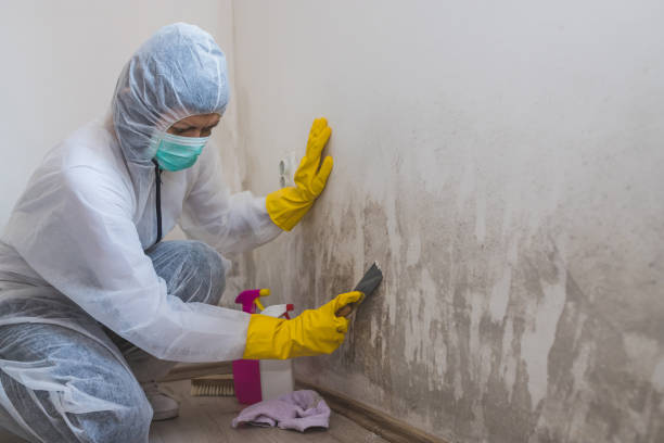 Mold Remediation for Rental Properties in Nags Head, NC