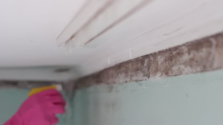Mold Remediation for Vacation Homes in Nags Head, NC